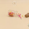 Miniature Tiny Jars