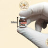 Miniature Nutella TinyBuzz