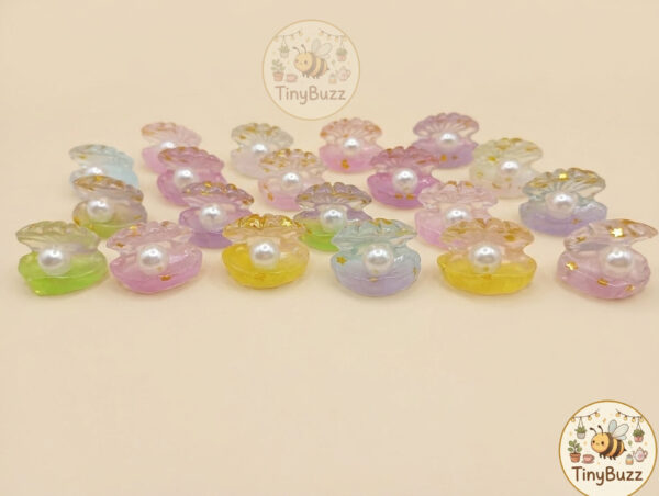 Colorful small shells