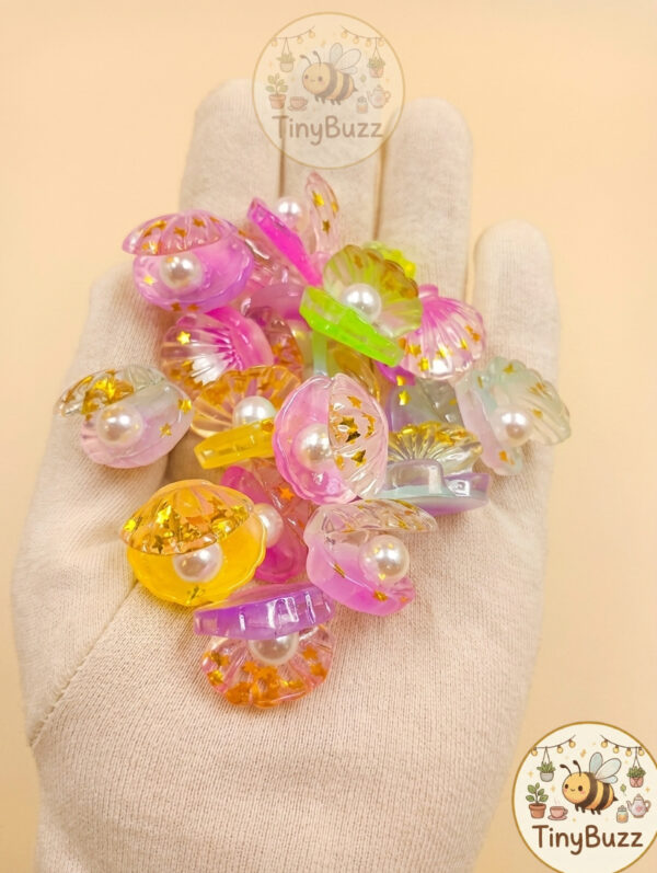 Colorful small shells