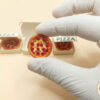 Miniature Pizza Box and Pizza Set